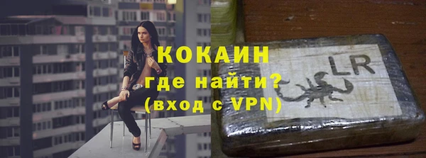 стаф Абинск