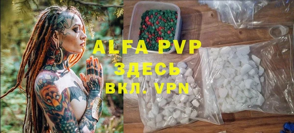 стаф Абинск