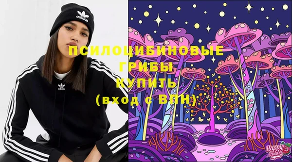 стаф Абинск