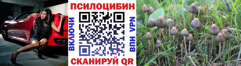 Галлюциногенные грибы прущие грибы  ОМГ ОМГ сайт  Тюмень 